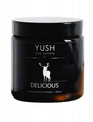 Yush Delicious świeca sojowa 120ml